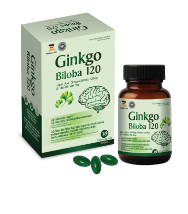 GINKGO BILOBA 120