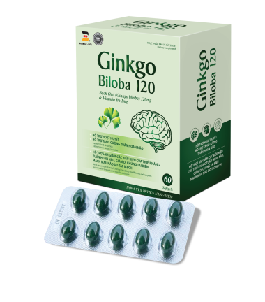 GINKGO BILOBA 120 dạng vỉ