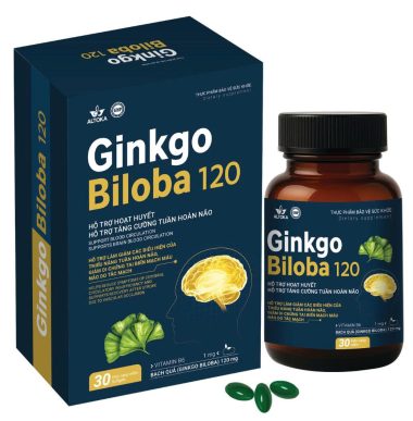 GINKGO BILOBA 120