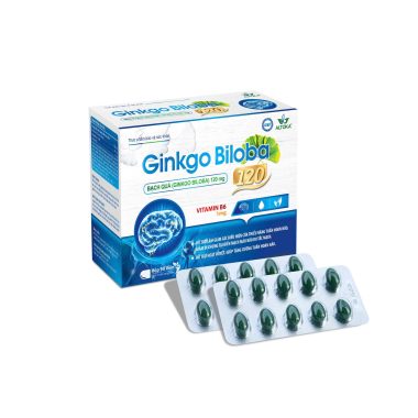 GINKGO BILOBA 120
