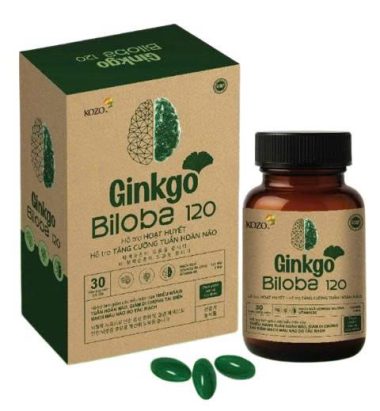 GINKGO BILOBA 120  HỘP CARTON LẠNH (H 1 lọ x 30 viên)